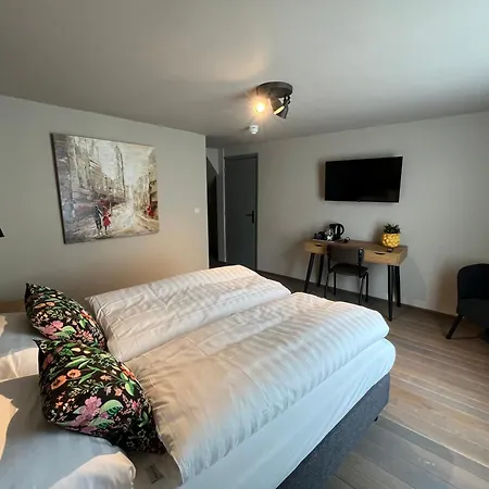 Hotel Hendrickx *